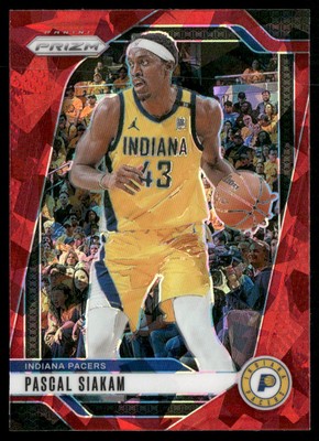 Pascal Siakam RPA 25枚限定 rookie patch サイン Pascal Siakam RPA 25枚限定 rookie patch サイン
