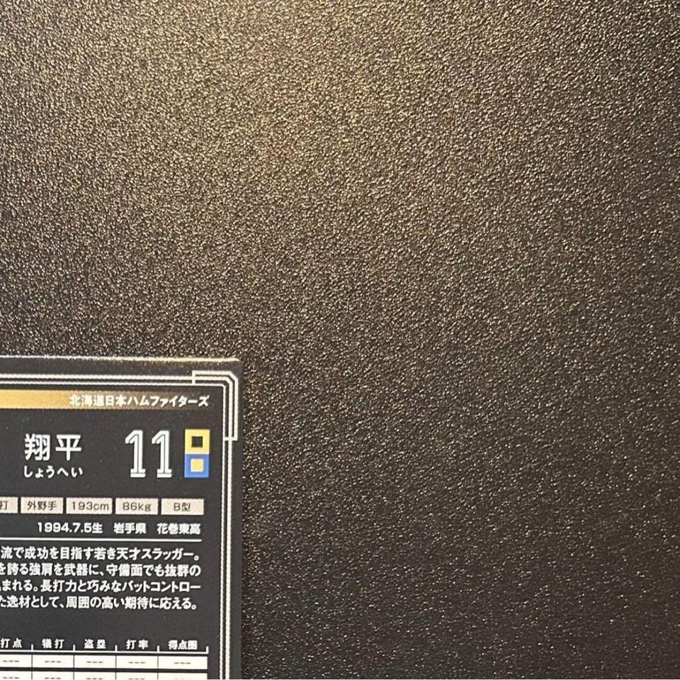 Goku Professional Baseball Card Shohei Otani Player Rookie Bulk