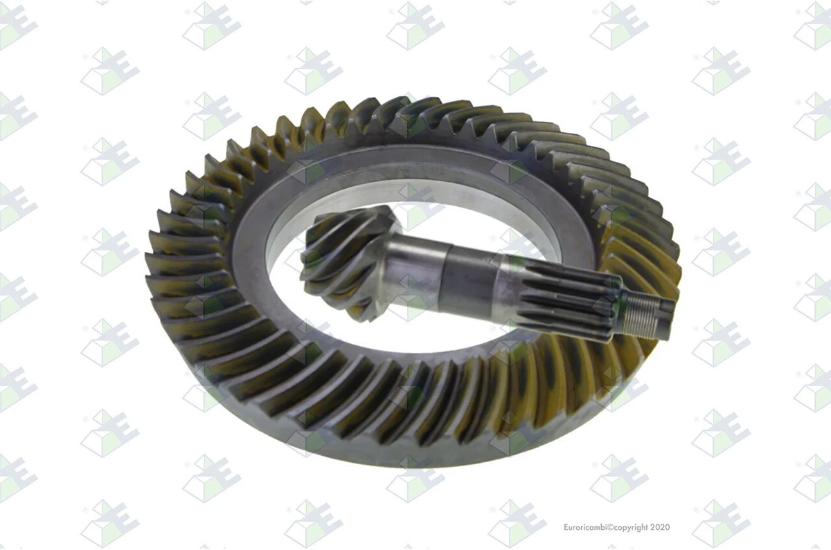 EURORICAMBI 30170197 AM Gears 24868 Masiero Tellerrad / Kegelrad 