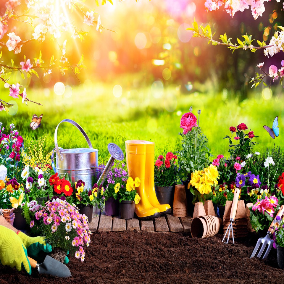 Paletta Da Giardino In Acciaio Inox - Mini Vanga Per Trapianti | Strumento Manuale Per Fiori - Foto 14