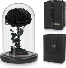 Lian Preserved Rose Roses in Glass Dome，Made from Real Fresh Beauty Rose, Pres
