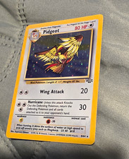 Wizards of the Coast Pidgeot Jungle 8/64 Holo Rare 80HP EN 1999 Slight Scratches on eBay