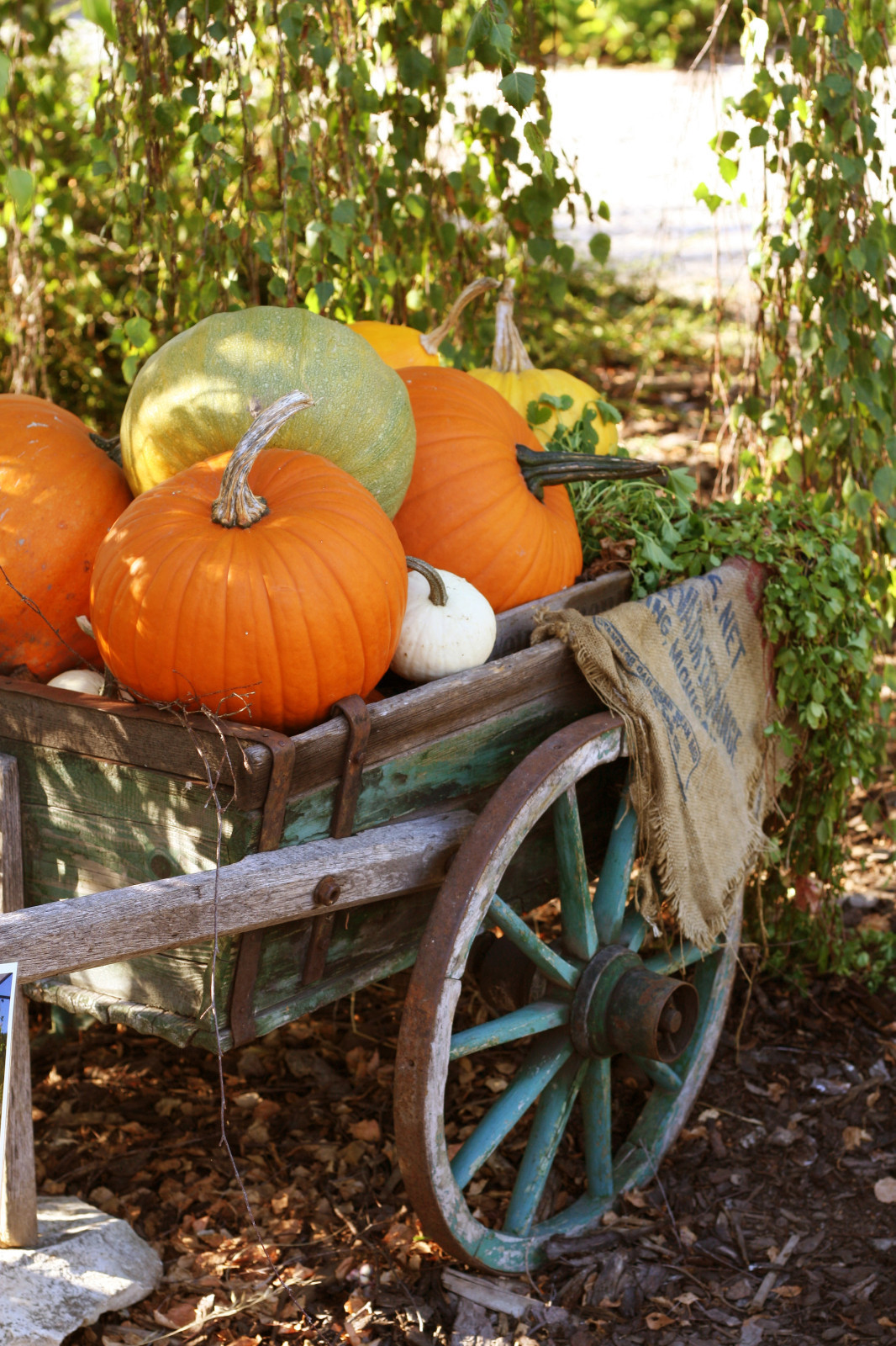 Buy our best brand online and 24/7 services FOR CANDLE & SOAP MAKING BY