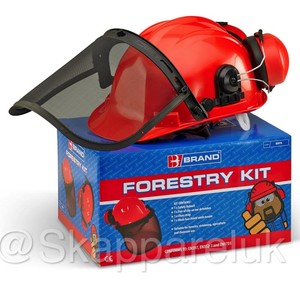 forestry hard hat
