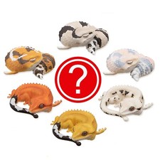 Sleeping African Fat Tailed Crested Gecko Lizard Figure Blind Box Japan Toy