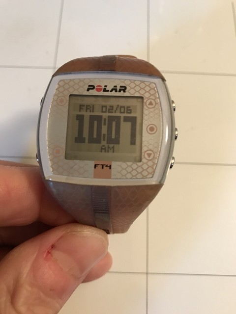 polar ft4 price