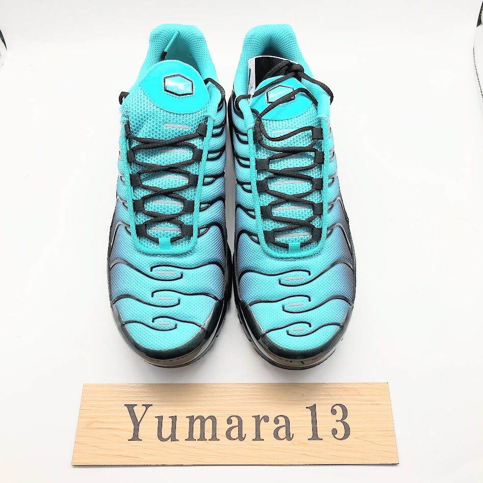 Nike Air Max Plus Light Retro Aqua Fade TN DM0032-401 Men's Nike Air Max Plus Light Retro Aqua Fade TN DM0032-401 Men's