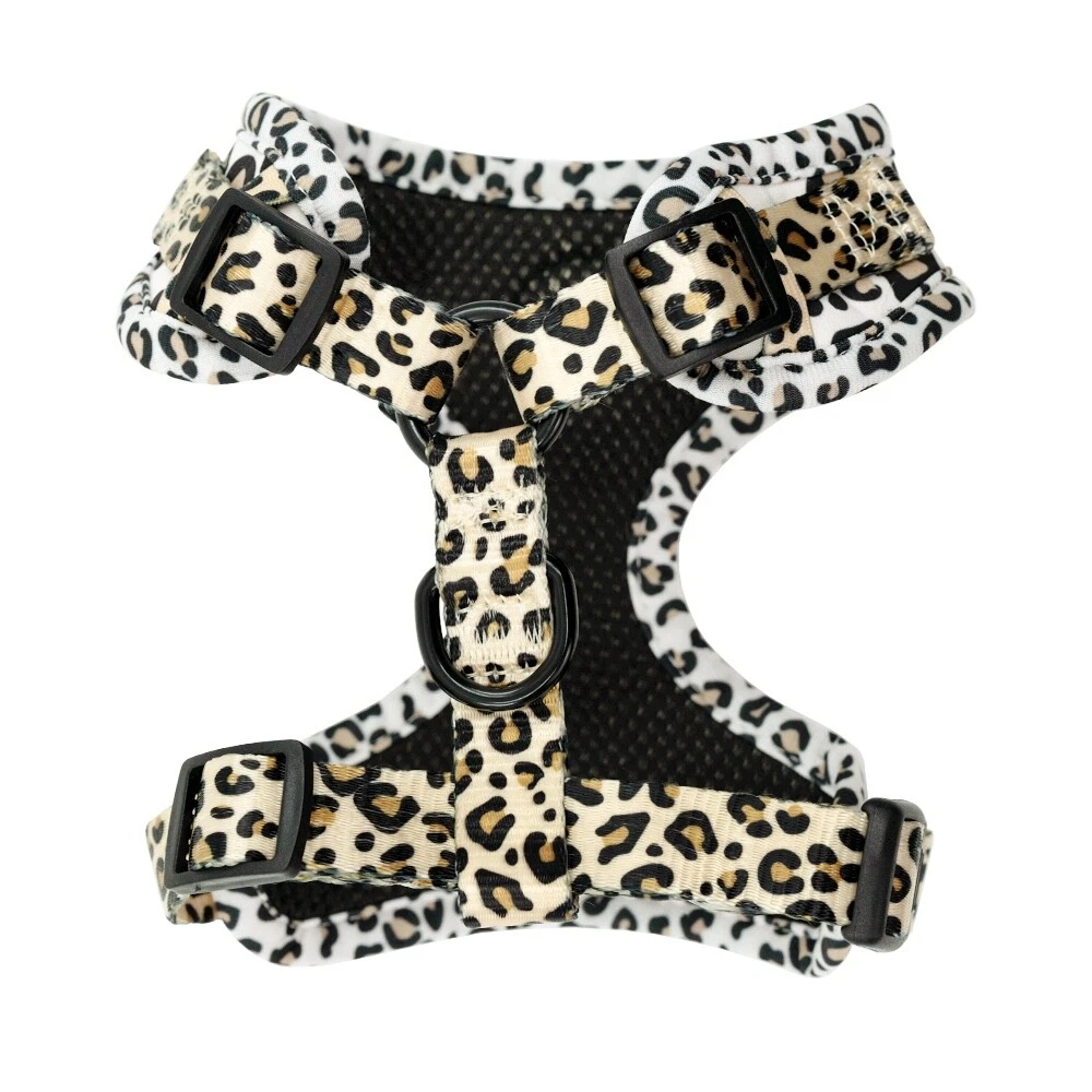 Dog Harness & leash matching set