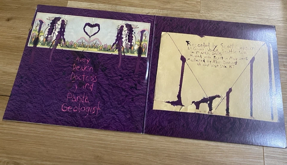 RARE Alternative Indie Rock LP Record ANIMAL COLLECTIVE Feels FAT CAT 2005 NM* - Image 2 of 4