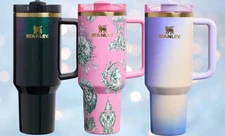 🪄Target x Stanley - Wicked | FlowState Quencher Tumblers 40oz - Ships Same Day