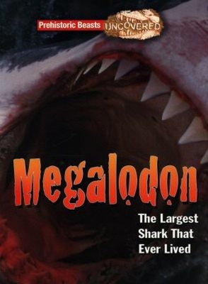 Megalodon : The Largest Shark That Ever Lived Paperback Dougal Di