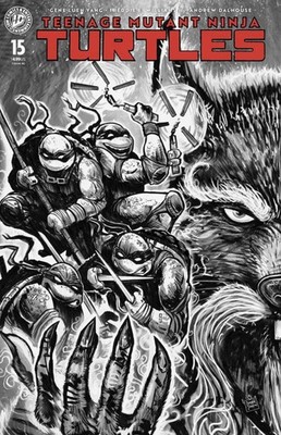 Teenage Mutant Ninja Turtles #15 Camron Johnson EXCL. B/W LTD 500