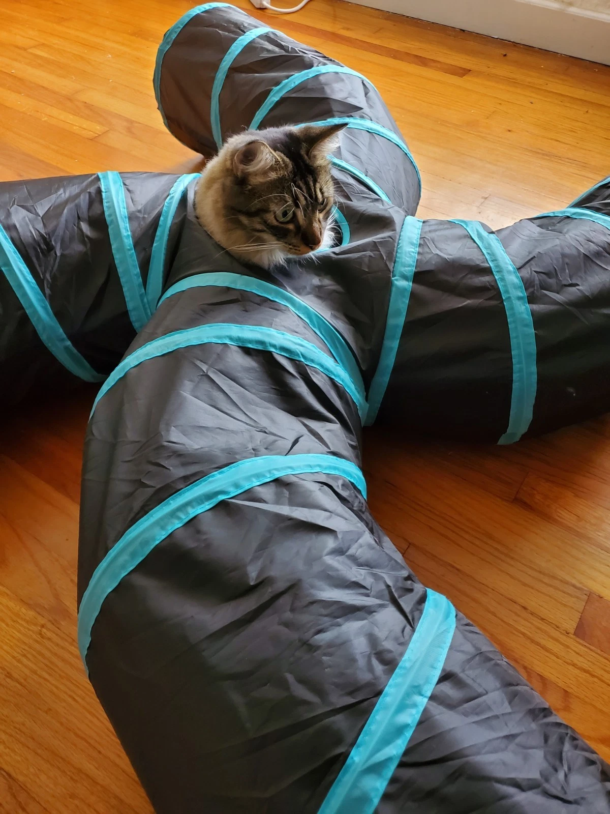 Cat Tunnel 4 way S Shape Interactive Maze Cat Toy For Rabbit Ferret