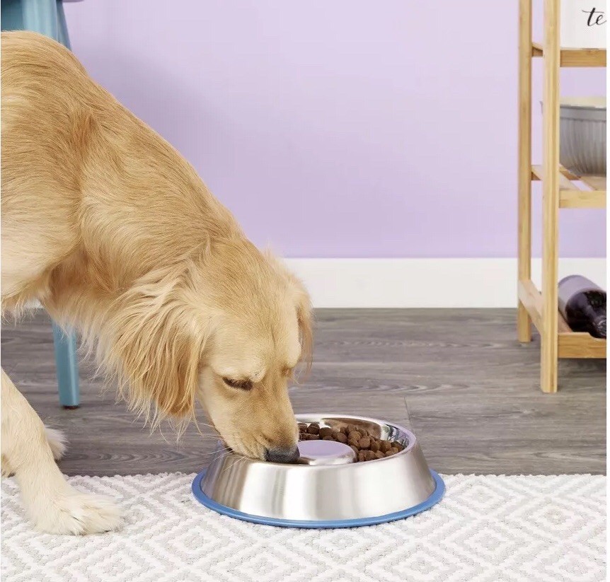 trixie slow feed dog bowl