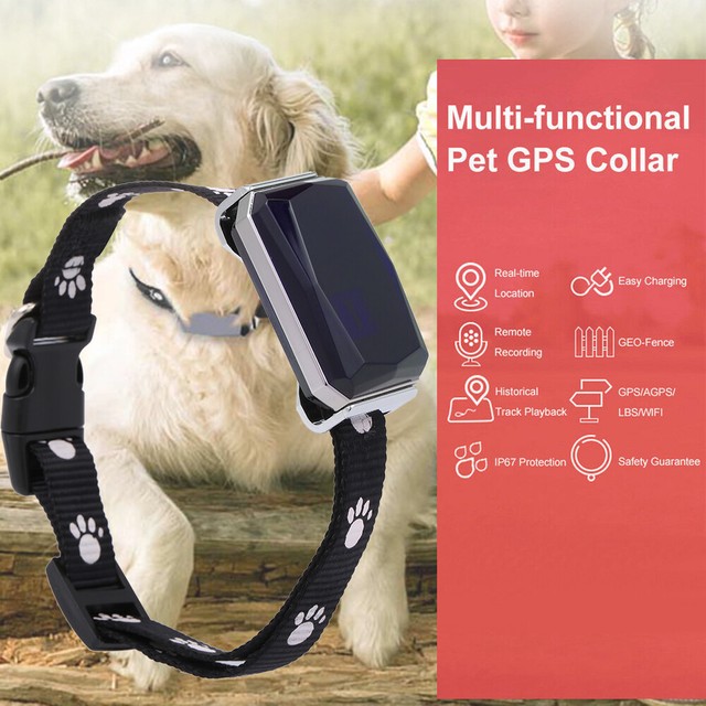 dog gps collar ebay