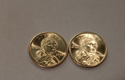 2003 P  D  NATIVE AMERICAN SACAGAWEA  UNC  DOLLARS (2-COINS)