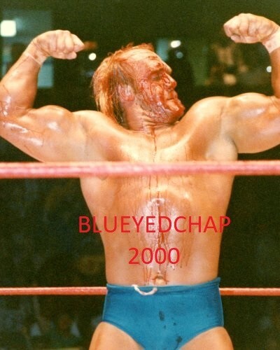 HULK HOGAN WRESTLER 8 X 10 WRESTLING FOTO WWF WCW - Bild 1 von 1