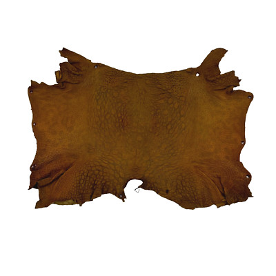 Bufo Marinus Cane Toad Skin Taxidermy Dyed Leather Matte Caramel/Gray Highlights