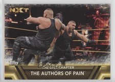 2017 WWE Then Now Forever Finishers and Signature Moves The Authors of Pain 10ou
