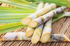 Fresh Organic Sugarcane Stalks by RawJoy Farms