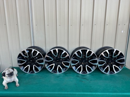 2010-2015 Ford F150 Raptor 17x8.5 Wheels Rims Original OEM Black Center Caps 4x - Picture 14 of 16