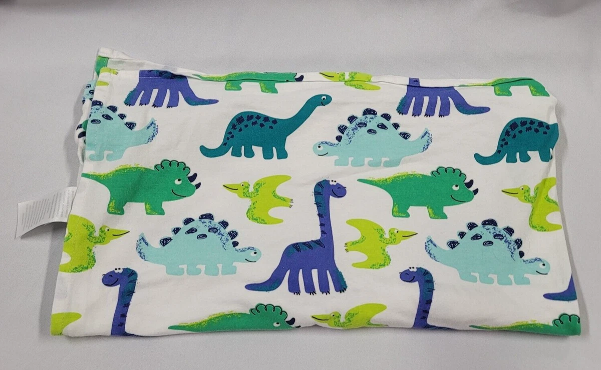 Dinosaur baby on sale swaddle