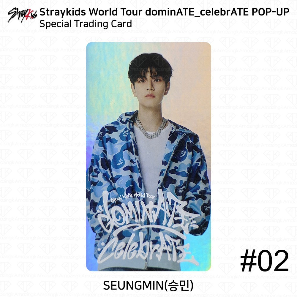 Stray Kids World Tour DominATE CelebrATE POP-UP Special Trading