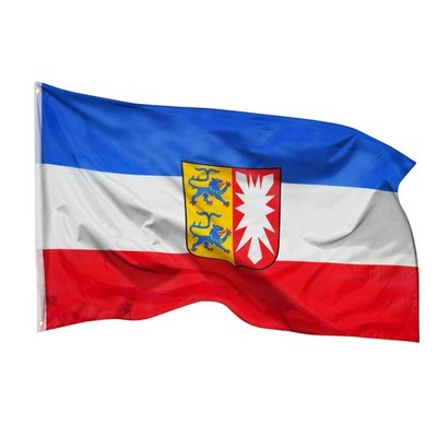 Schleswig Holstein Flagge Fahne 90X150 2 Ösen Wappen Hissflagge PHENO FLAGS