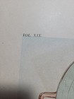 Original Antique Lithograph ANCIENT GREEK POTTERY - Kylix/Capua, Amphora/Rhodes — photo 5