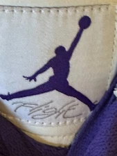 nike air jordan true flight shoes