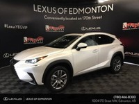 2021 Lexus NX 300 EXECUTIVE PACKAGE