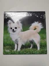 BrownTrout Chihuahuas 2023 7" x 7" Mini Wall Calendar Sealed