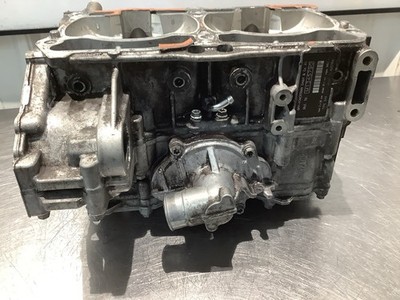 OEM 2018 SKI-DOO SKIDOO MXZ TNT 850 ENGINE MOTOR CRANKCASE CASES ASSY