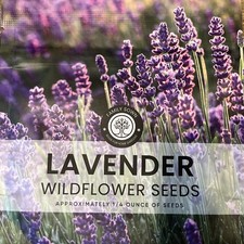 Lavender   7,000 Seeds for Planting   2026 Season   Pouch 1/4 Ounce