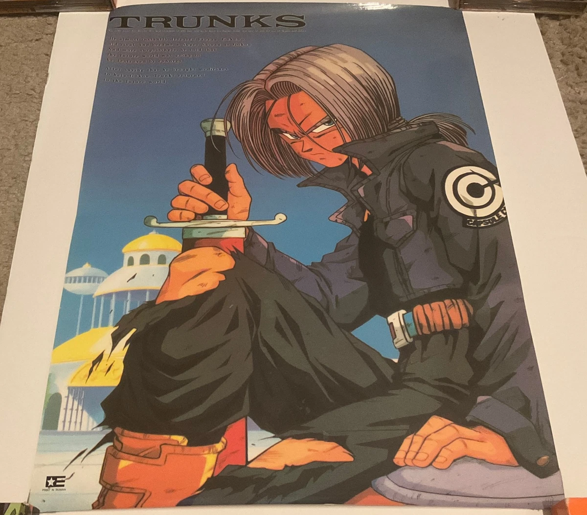 Dragon Ball Z Poster In Collectible Dragonball Z Anime Items for