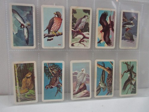 BROOKE BOND (CANADA) - BIRDS OF NORTH AMERICA - FULL SET OF 48 CARDS - Picture 6 of 11
