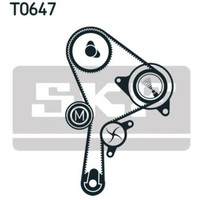 Skf Wasserpumpe + Zahnriemensatz FüR Renault Megane Ii BM0/1_ CM0/1_ ScéNic