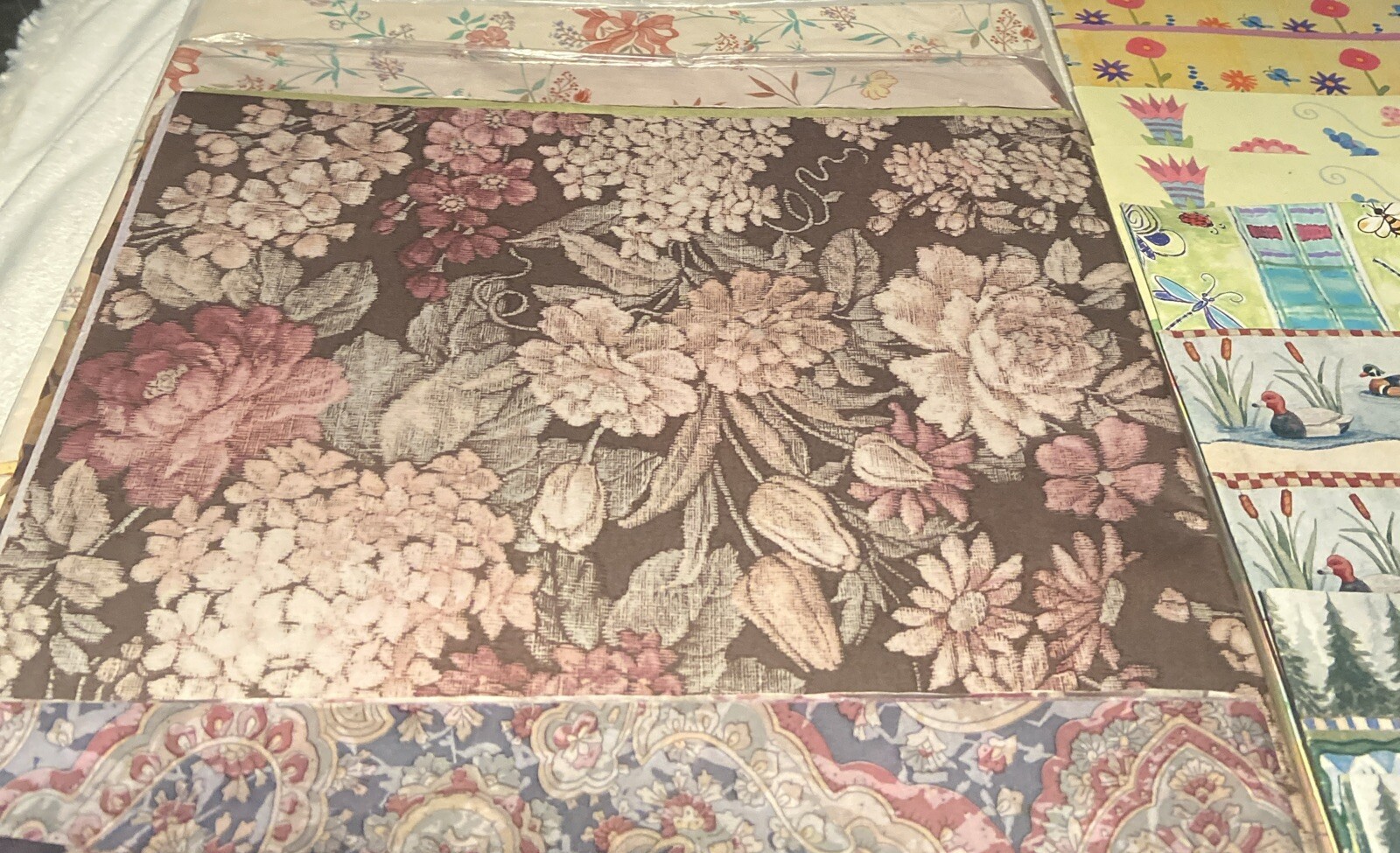 Picture 7 of 14