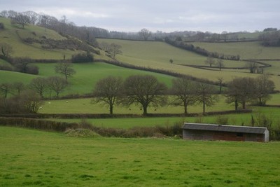 Photo 6x4 Mid Devon : Countryside Scenery Perry/SS8605 Looking out acros c2017