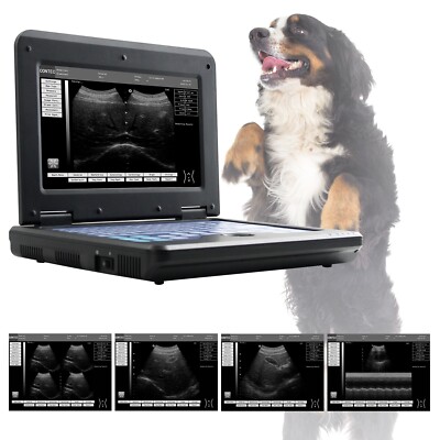 VET Veterinary Digital Ultrasound Scanner CMS600P2+3.5Mhz convex Probe