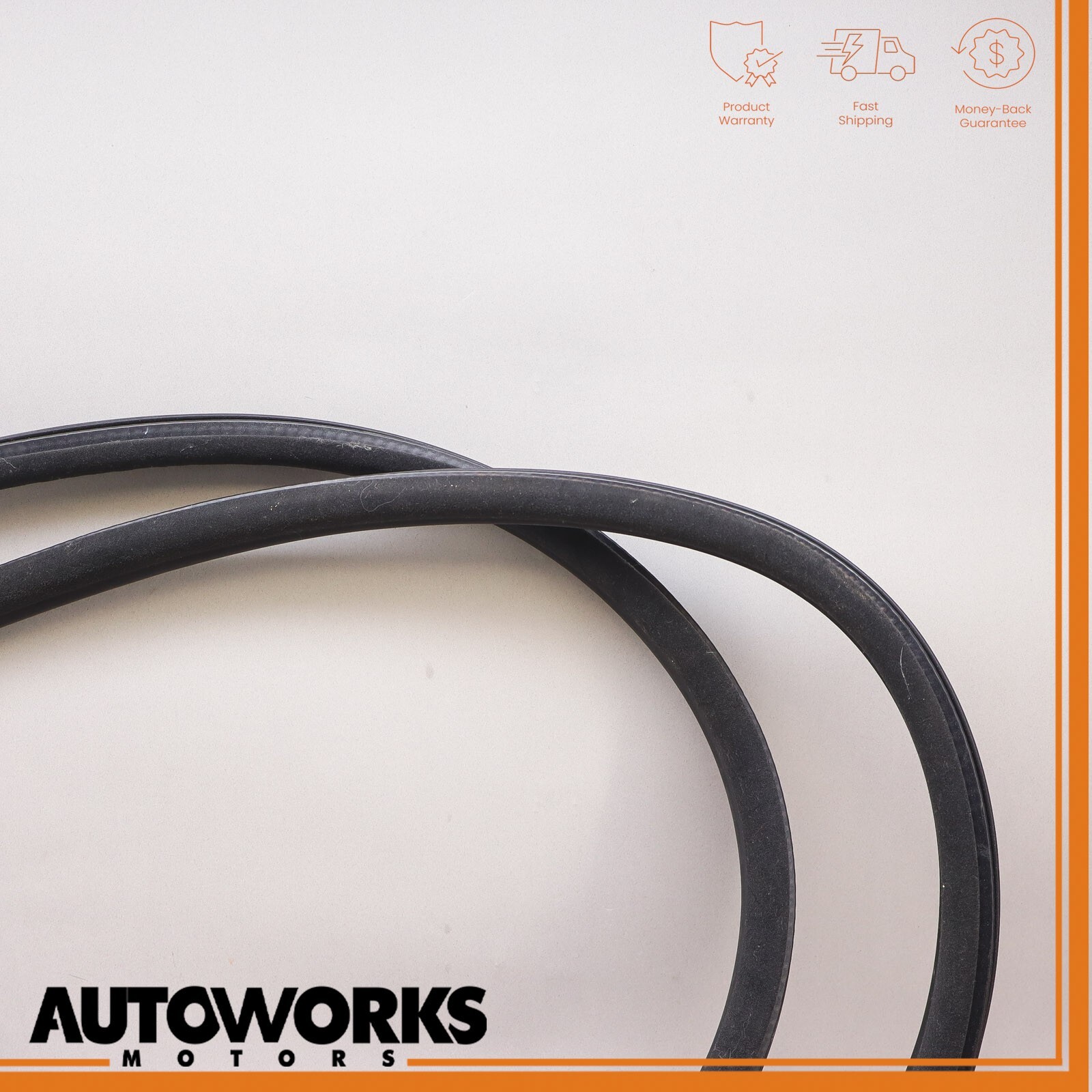 03-08 Maserati Quattroporte M139 Rear Left Door Weatherstrip Rubber Seal OEM