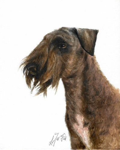 ✿ Original Oil Portrait Painting Cesky Terrier Puppy Dog Artist Signed Artwork