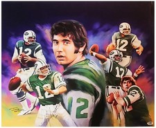 Joe Namath Signed NY Jets 22x26 Canvas Painting Print