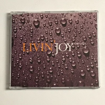 Livin' Joy   Dreamer CD Single 1994   MCSTD 1993 EX/EX