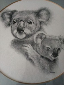 Koala Bear Charcoal Virginia Miller Signed 10 1/4"x 10 1/4"