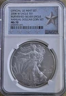 2008 W MS70 Burnished Silver Eagle Annual Dollar Set NGC - Star Label