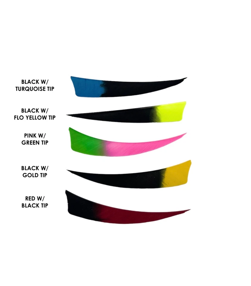 OZARK FEATHERS Ozark 4" Shield Cut Eagle Tip Feathers - 1 Dozen - LW and RW