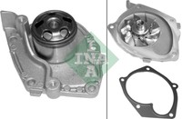 INA Wasserpumpe Renault 1.9DCI Master/Laguna/Vivaro (VerstÄRktes Lager)