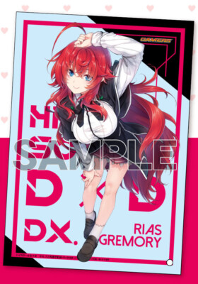 High School DxD Rias Gremory A6 Acrylic Art Plate Stand Gamers Limited New