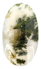 32.6ct Natural Moss Agate Oval Cabochon Scenic Landscape Loose a658